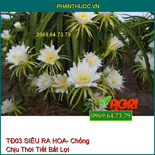 PHÂN BÓN TĐ 03 SIÊU RA HOA- Chống Chịu Thời Tiết Bất Lợi, Tăng Năng Suất