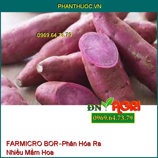 PHÂN BÓN FARMICRO – BOR –Hạn Chế Thiếu Kẽm, Phân Hóa Ra Nhiều Mầm Hoa