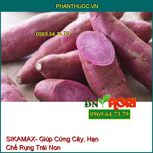 SIKAMAX- Giúp Cứng Cây, Hạn Chế Rụng Trái Non