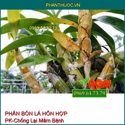 PHÂN BÓN LÁ HỖN HỢP PK-Chống Lại Mầm Bệnh, Kích Thích Rễ Phát Triễn