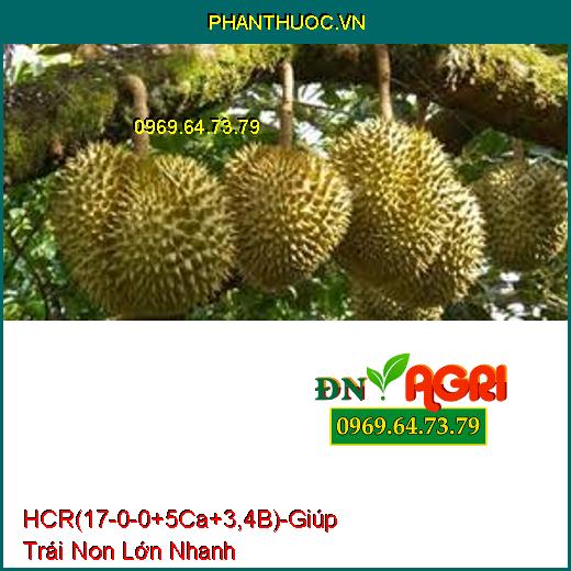 PHÂN BÓN LÁ ĐẠM TRUNG VI LƯỢNG HCR (17-0-0+5Ca+3,4B) – Giúp Trái Non Lớn Nhanh