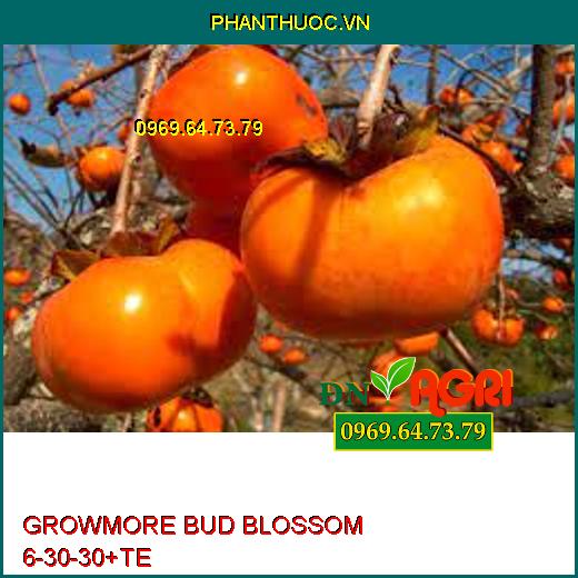 PHÂN BÓN LÁ GROWMORE BUD BLOSSOM 6-30-30+TE –Tăng Đậu Qủa, Đề Kháng, Bóng Trái