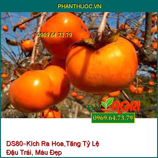 PHÂN BÓN DS80 –Giảm Lượng Kim Loại, Kích Ra Hoa,Tăng Tỷ Lệ Đậu Trái, Màu Đẹp