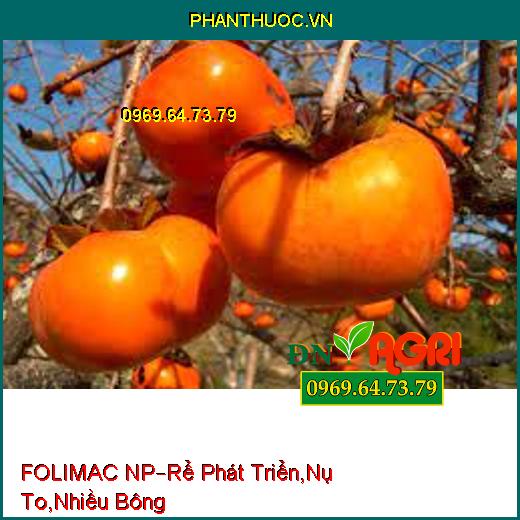 FOLIMAC NP –Kích Thích Phát Triển Rễ Mạnh, Nụ To Nhiều Bông