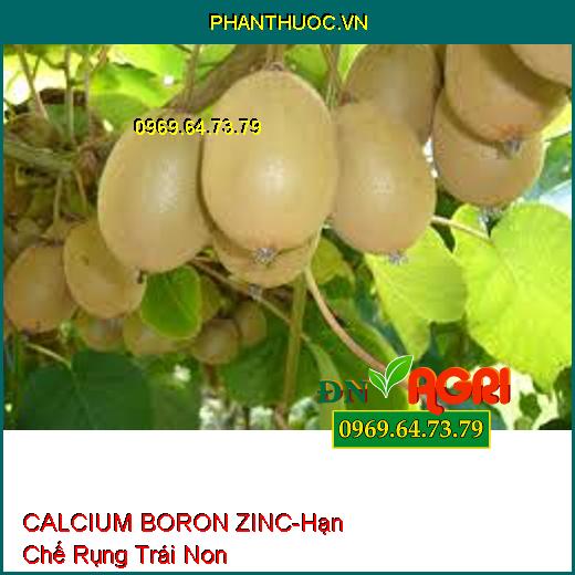 CALCIUM BORON ZINC -Hạn Chế Rụng Trái Non, Ra Hoa Đồng Loạt, Tăng Đậu Trái