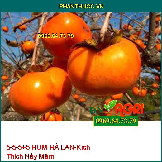 PHÂN BÓN 5-5-5+5 HUM HÀ LAN-Cung Cấp Vi Lương, Kích Thích Nảy Mầm