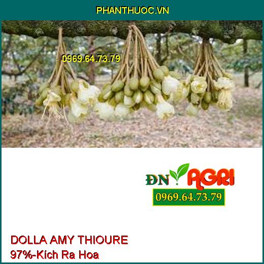 DOLLA AMY THIOURE 97% - Kích Ra Hoa Đồng Loạt, Ngăn Nghẹn Hoa, Tăng Đậu Trái