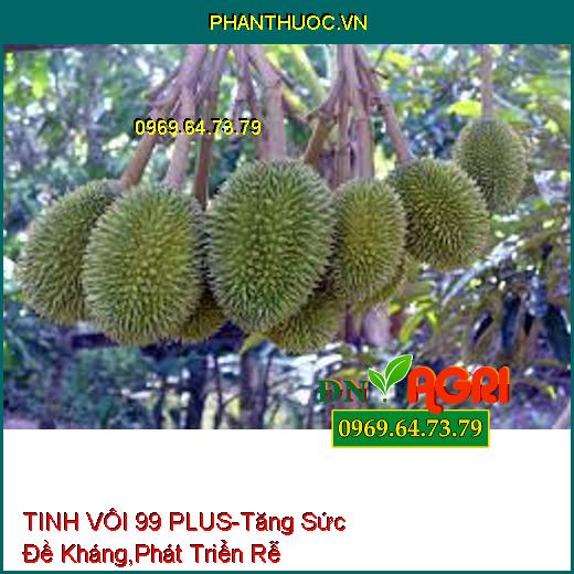 PHÂN BÓN CAO CẤP TINH VÔI 99 PLUS-Cải Tạo Đất, Tăng Sức Đề Kháng, Phát Triển Rễ