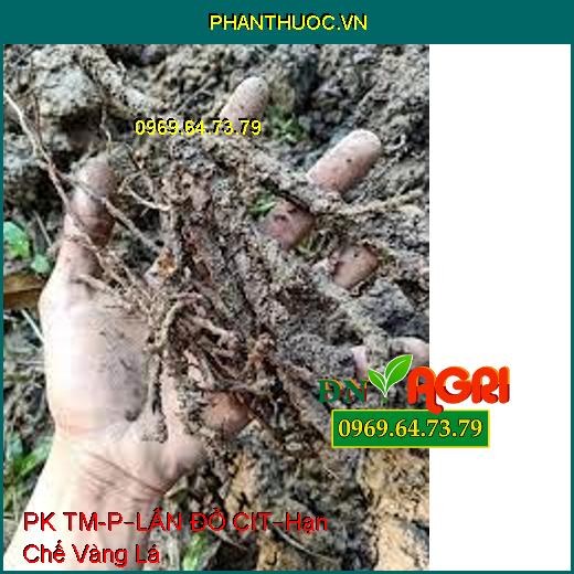 PHÂN PK TM-P – LÂN ĐỎ CIT –Hạn Chế Bệnh Vàng Lá, Cung Cấp Hàm Lượng Lân Kali