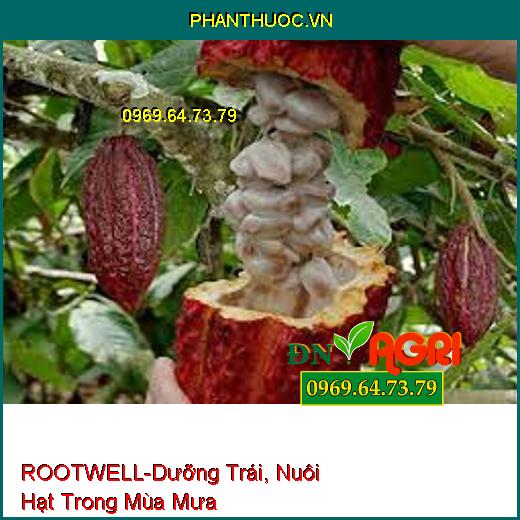 PHÂN BÓN LÁ HỮU CƠ KHOÁNG ROOTWELL –Dưỡng Trái, Nuôi Hạt Trong Mùa Mưa