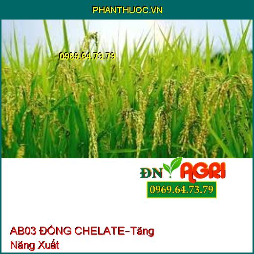 PHÂN BÓN AB03 ĐỒNG CHELATE –Rữa Vườn, Cung Cấp Kali, Tăng Năng Xuất