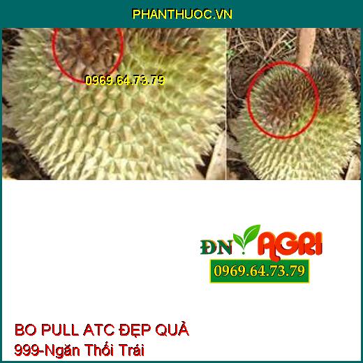 BO PULL ATC ĐẸP QUẢ 999- Tăng Thụ Phấn, Ra Hoa Đều, Ngăn Thối Trái