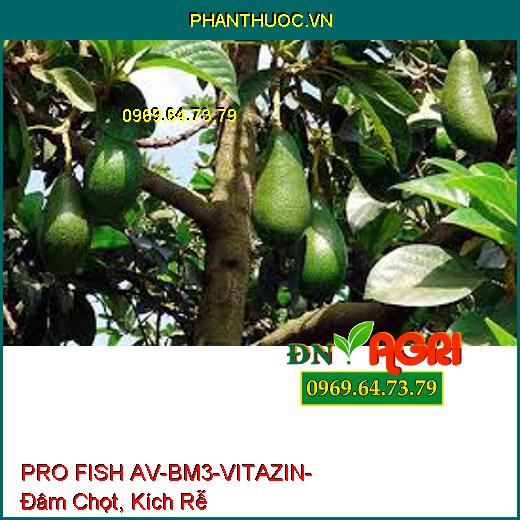 PRO FISH AV-BM3-VITAZIN- Đâm Chọt, Kích Rễ, Bóng Trái, Lớn Trái