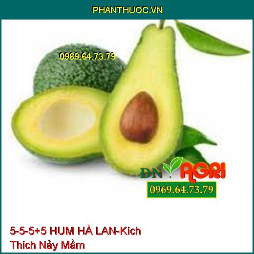 PHÂN BÓN 5-5-5+5 HUM HÀ LAN-Cung Cấp Vi Lương, Kích Thích Nảy Mầm