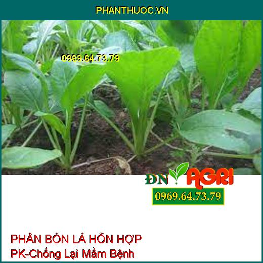 PHÂN BÓN LÁ HỖN HỢP PK-Chống Lại Mầm Bệnh, Kích Thích Rễ Phát Triễn