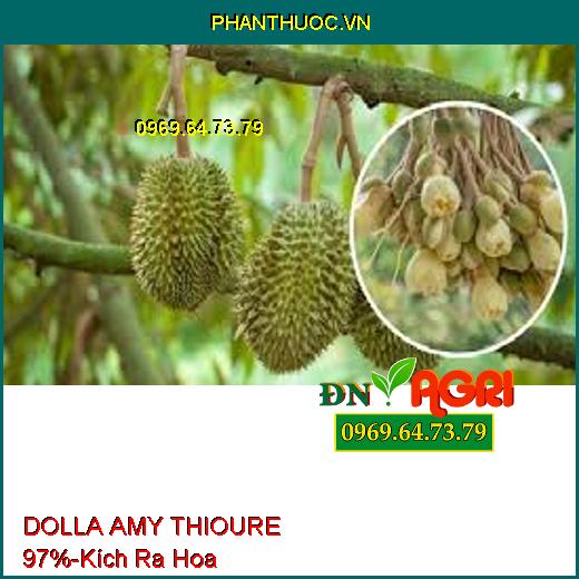 DOLLA AMY THIOURE 97% - Kích Ra Hoa Đồng Loạt, Ngăn Nghẹn Hoa, Tăng Đậu Trái