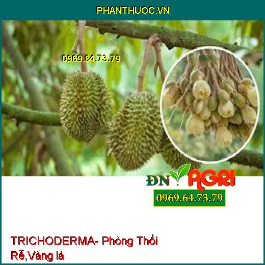 TRICHODERMA- Phòng Thối Rễ, Bật Chồi, Vàng lá, Chống Chết Cây