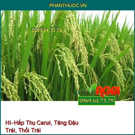 PHÂN BÓN LÁ HỮU CƠ KHOÁNG CAO CẤP HI –Hấp Thụ Canxi, Tăng Đậu Trái, Thối Trái