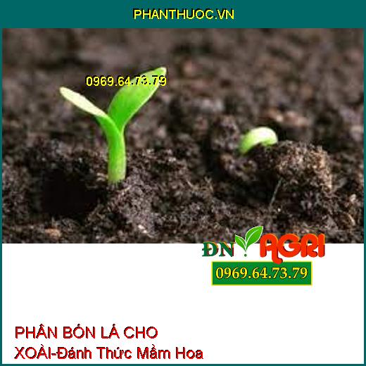 PHÂN BÓN LÁ CHO XOÀI-Đánh Thức Mầm Hoa, Tăng Khả Năng Thụ Phấn, Chống Chai Đọt