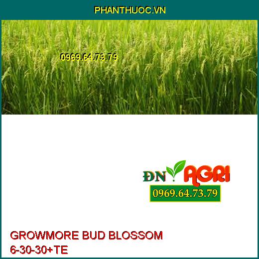 PHÂN BÓN LÁ GROWMORE BUD BLOSSOM 6-30-30+TE –Tăng Đậu Qủa, Đề Kháng, Bóng Trái