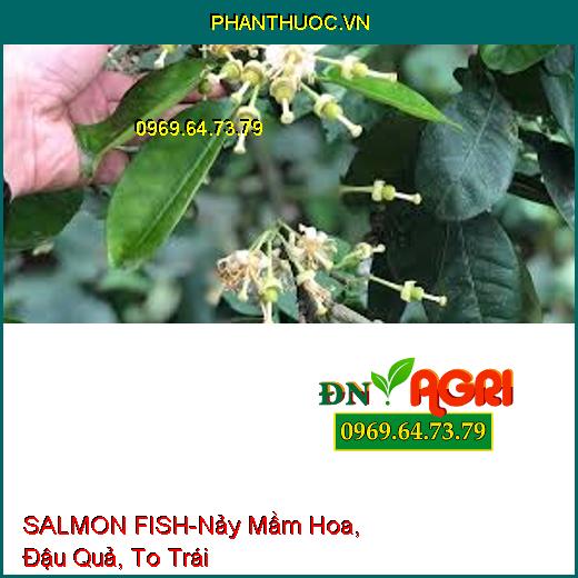 SALMON FISH - Kích Thích Nảy Mầm Hoa, Đậu Quả, Bung Đọt, To Trái, Ra Rễ