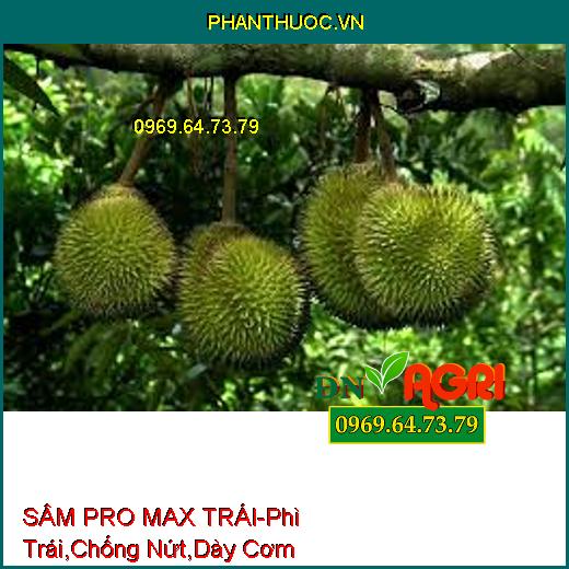 SÂM PRO MAX TRÁI - Giúp Phì Trái, Chống Nứt Gai, Dày Cơm, Chắc Thân