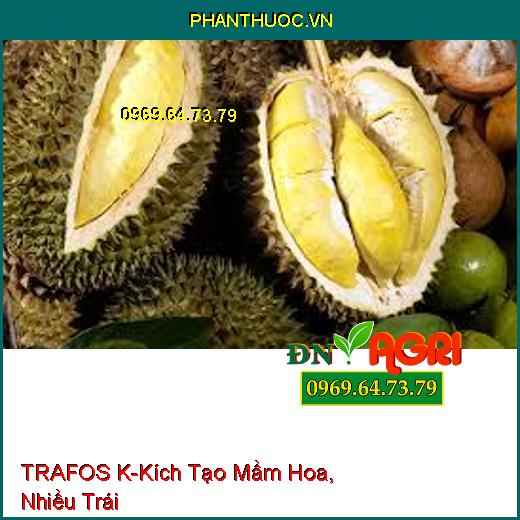 TRAFOS K- Tạo Kháng Thể Cho Cây, Kích Tạo Mầm Hoa, Nhiều Trái