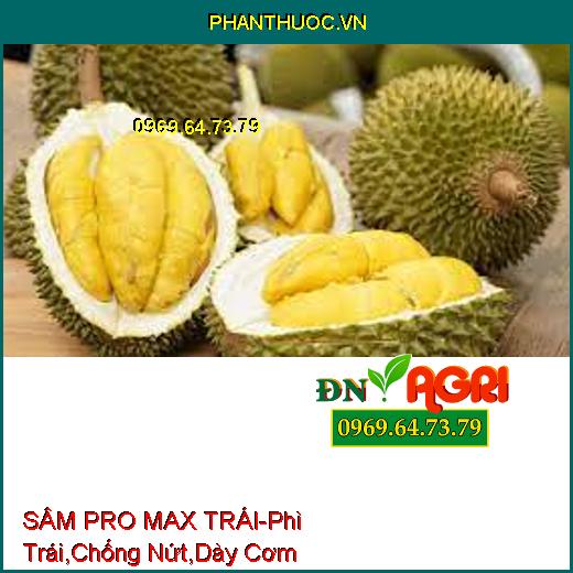 SÂM PRO MAX TRÁI - Giúp Phì Trái, Chống Nứt Gai, Dày Cơm, Chắc Thân