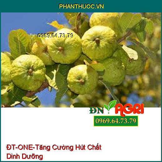 PHÂN CAO CẤP ĐT- ONE -Giải Độc Hữu Cơ, Tăng Cường Hút Chất Dinh Dưỡng