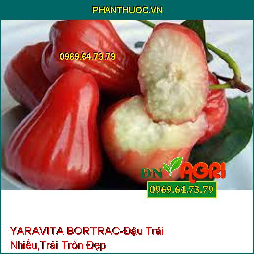 YARAVITA BORTRAC- Đậu Trái Nhiều, Định Hình Trái Tròn Đẹp