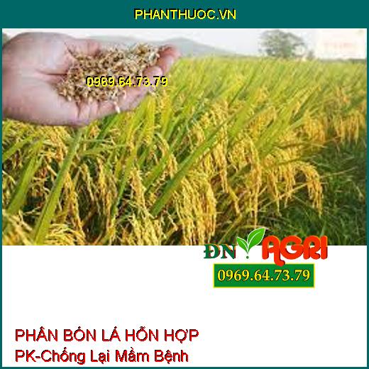 PHÂN BÓN LÁ HỖN HỢP PK-Chống Lại Mầm Bệnh, Kích Thích Rễ Phát Triễn