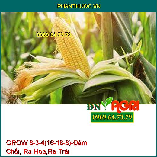 Phân bón lá grow 8-3-4 (16-16-8) -Đâm Chồi , Đâm Hoa Ra Trái, Bổ Sung NAA GA3