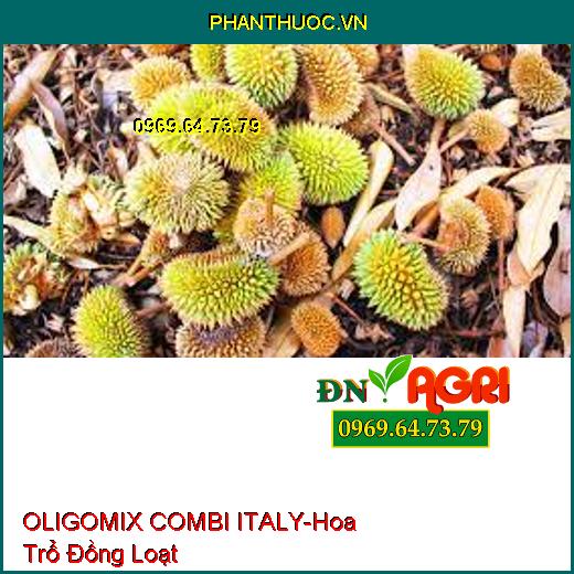 OLIGOMIX COMBI ITALY- Hoa Trổ Đồng Loạt, Tăng Đậu Trái, Chống Vàng Lá