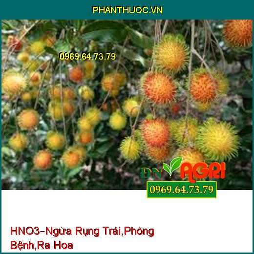 PHÂN BÓN LÁ CAO CẤP HNO3 –Ngăn Ngừa Rụng Trái, Phòng Trừ Các Loại Bệnh, Ra Hoa