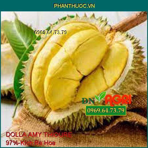 DOLLA AMY THIOURE 97% - Kích Ra Hoa Đồng Loạt, Ngăn Nghẹn Hoa, Tăng Đậu Trái