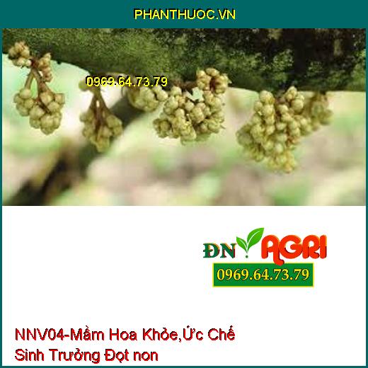 PHÂN BÓN NNV04 –Xử Lý Hoa Trái Vụ, Mầm Hoa Khỏe, Ức Chế Sinh Trưởng Đọt non