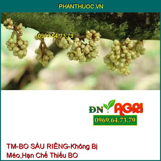 PHÂN BÓN TM-BO SẦU RIÊNG-Trái Thụ Phấn Không Bị Méo, Hạn Chế Hiện Tượng Thiếu BO