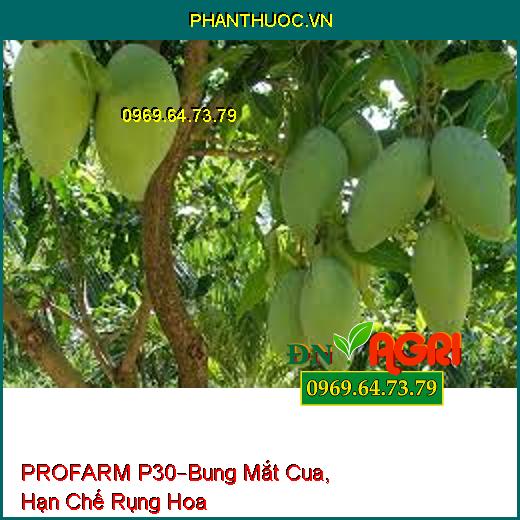 PROFARM P30 –Bung Mắt Cua Nhanh, Đồng Loạt, Kéo Bông Nhanh, Hạn Chế Rụng Hoa