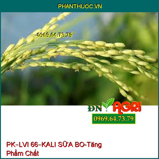 PHÂN BÓN HỖN HỢP PK – LVI 66 – KALI SỮA BO-Gia Tăng Phẩm Chất, Kháng Sâu Bệnh