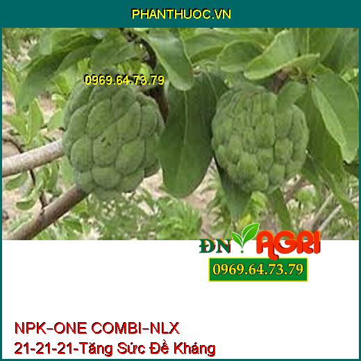 PHÂN BÓN NPK–ONE COMBI–NLX 21-21-21- Tăng Sức Đề Kháng, Cây Ra Hoa Đẹp, Lâu Tàn