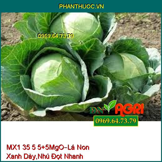 MX1 35 5 5 + 5MgO –Giúp Lá Non Xanh Dày, Nhú Đọt Nhanh, Đồng Loạt