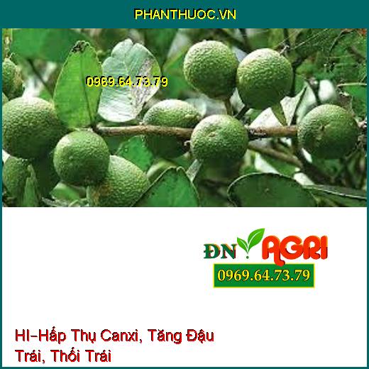 PHÂN BÓN LÁ HỮU CƠ KHOÁNG CAO CẤP HI –Hấp Thụ Canxi, Tăng Đậu Trái, Thối Trái