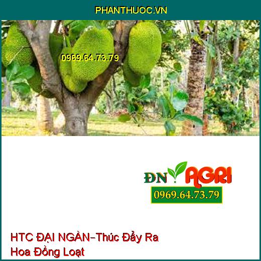 HTC ĐẠI NGÀN–Thúc Đẩy Ra Hoa Đồng Loạt