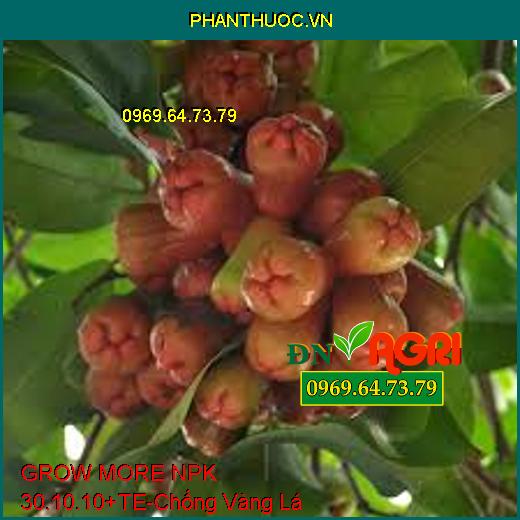 GROW MORE NPK 30.10.10+TE-Phục Hồi Đất Bị Bạc, Vàng Lá, Tăng Vị Ngot, Bóng Trái