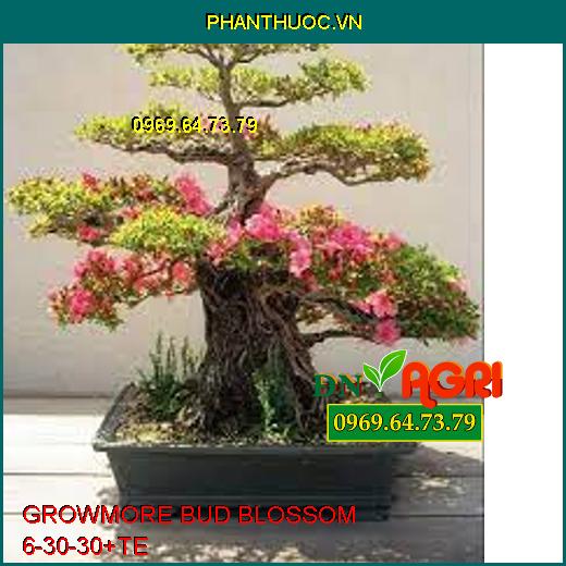 PHÂN BÓN LÁ GROWMORE BUD BLOSSOM 6-30-30+TE –Tăng Đậu Qủa, Đề Kháng, Bóng Trái