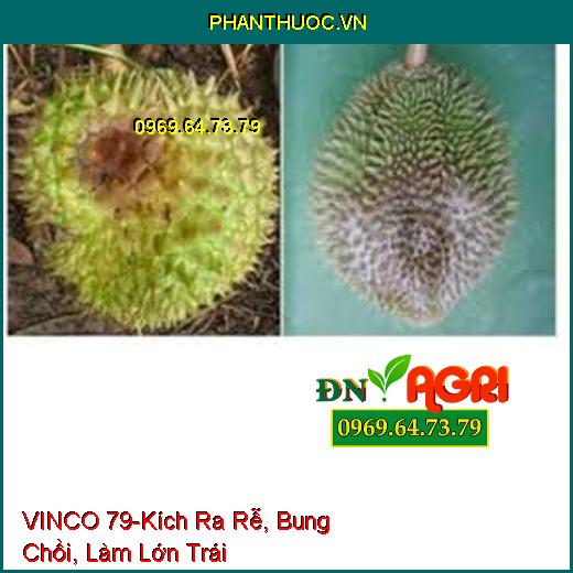 PHÂN BÓN LÁ TRUNG LƯỢNG VINCO 79 – Kích Ra Rễ, Bung Chồi, Làm Lớn Trái, Phục Hồi Cây