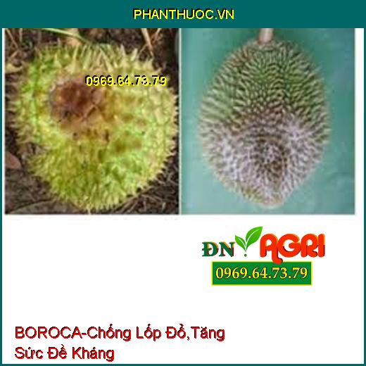 PHÂN BÓN LÁ TRUNG VI LƯỢNG-BOROCA-Chống Lốp Đổ, Tăng Sức Đề Kháng, Lớn Trái