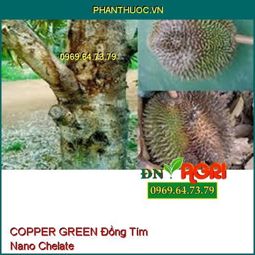 COPPER GREEN Đồng Tím Nano Chelate - Rửa Vườn, Kháng Vàng Lá, Nứt Thân, Thối Trái