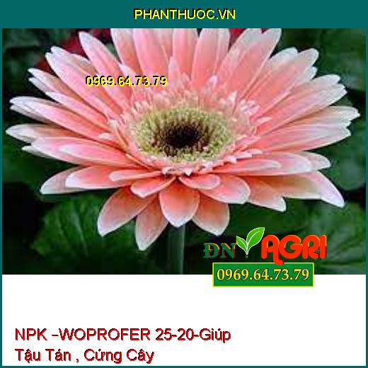 NPK –WOPROFER 25-20-Giúp Tậu Tán , Cứng Cây