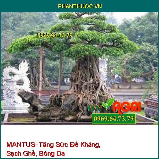 PHÂN BÓN VI LƯỢNG MANTUS –Tăng Sức Đề Kháng, Sạch Ghẻ, Bóng Da, Tránh Sương Muối